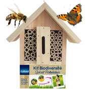 Kit Biodiversits, spcial pollinisateurs